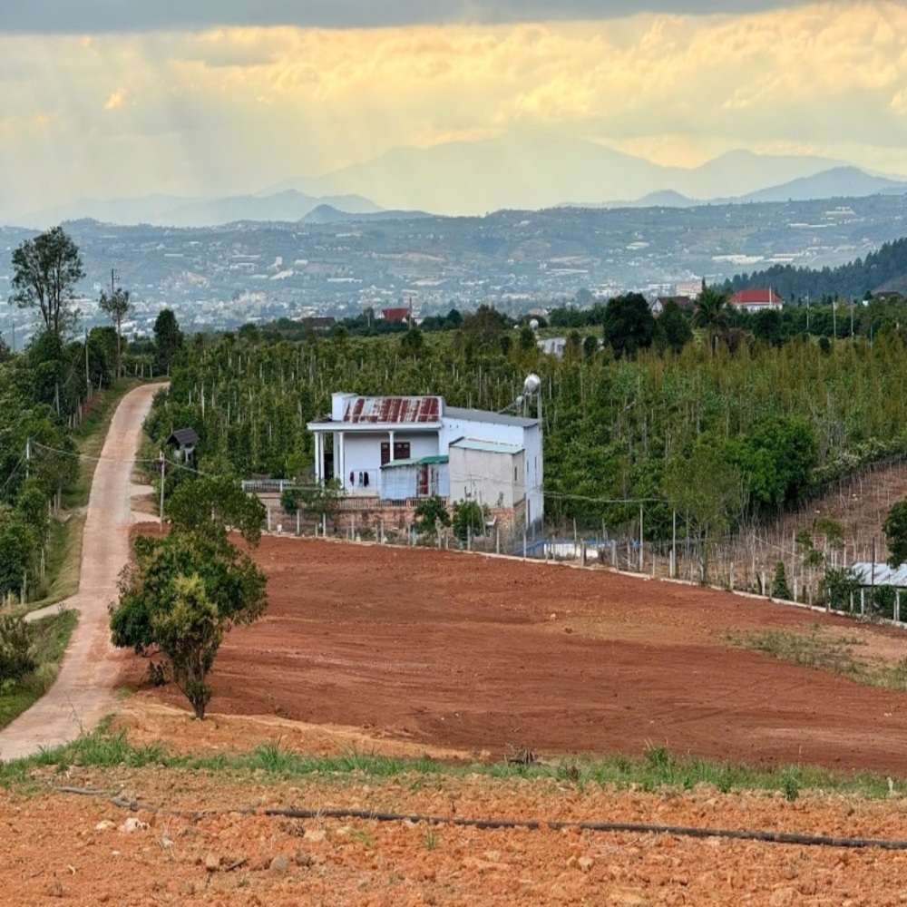 đất nền Đông Thanh Lâm Hà