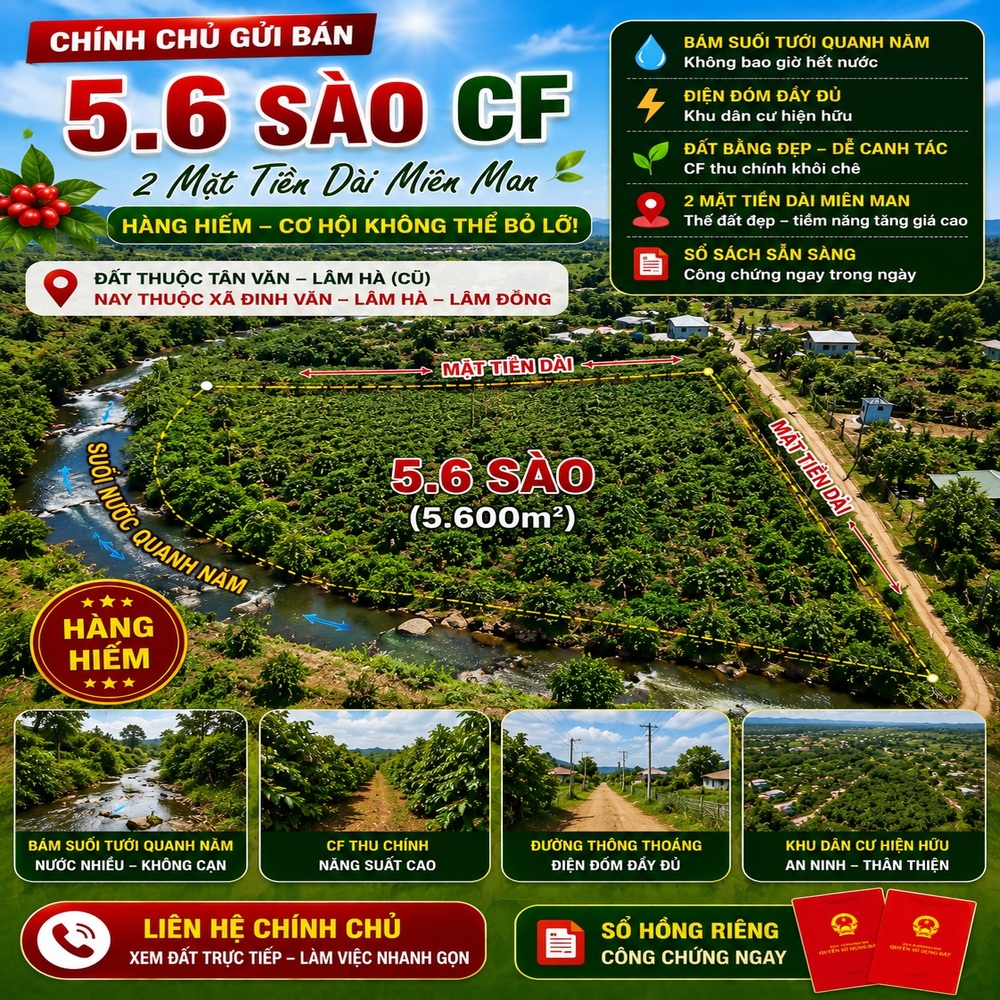 đất cà phê Đinh Văn Lâm Hà