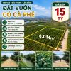 Đất Ninh Gia 6.014m² có cây cà phê, giá 15 tỷ