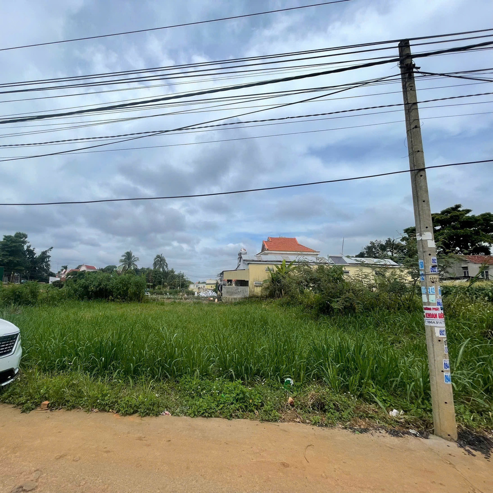 Đất nền Hiệp Thạnh 255,6m², giá 4 tỷ