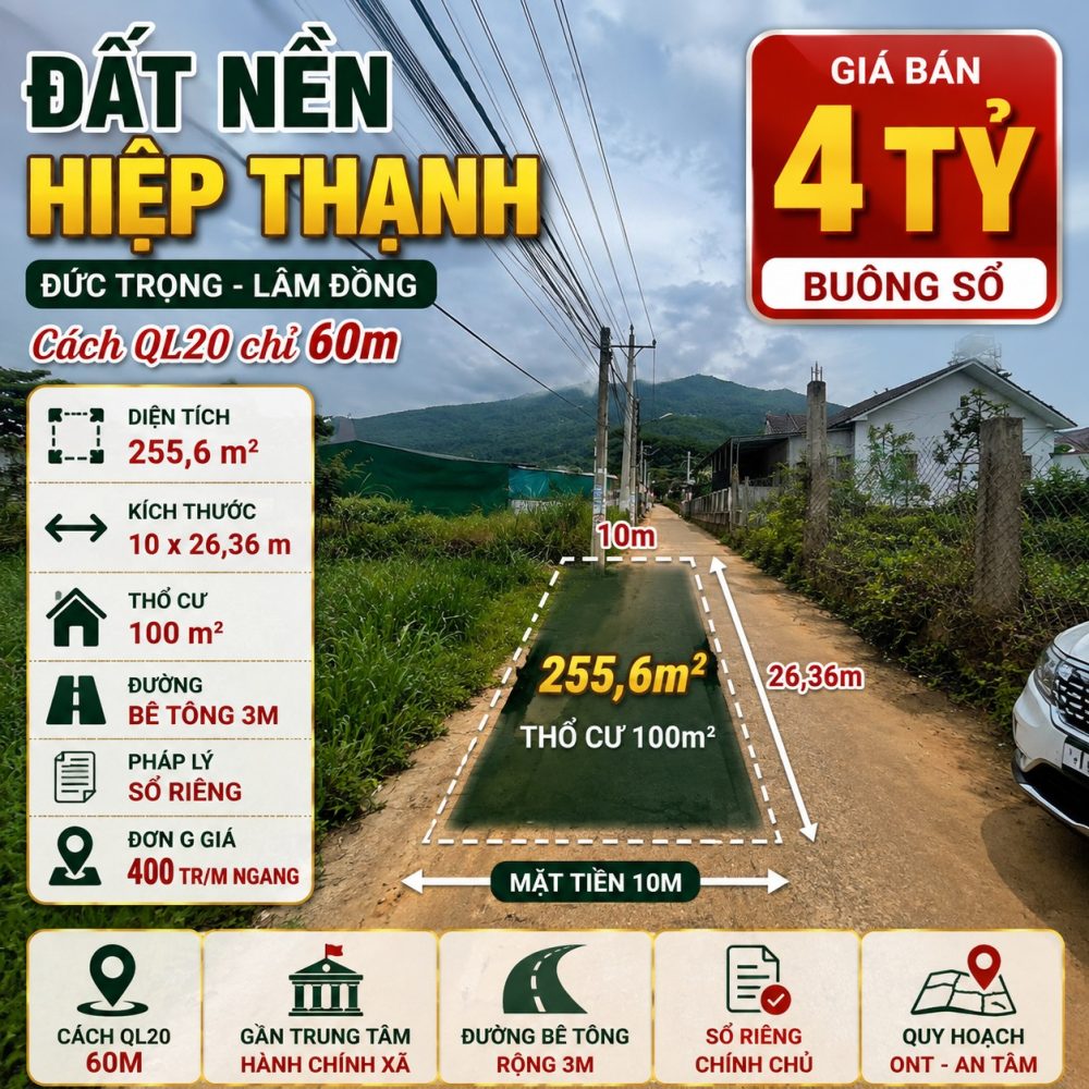 Đất nền Hiệp Thạnh 255,6m², giá 4 tỷ