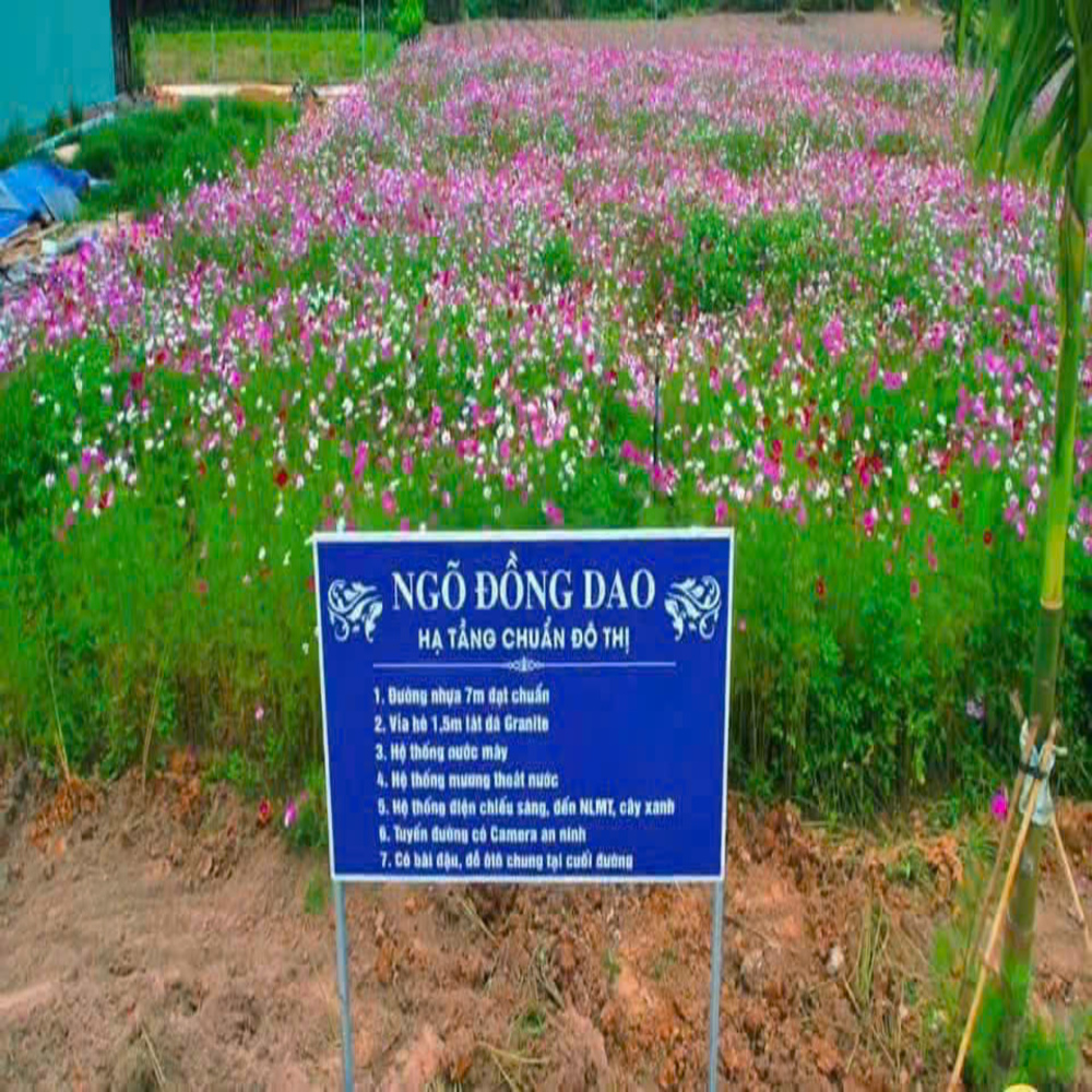 Đất Phú Hội 101m², thổ cư 75m², giá 1,39 tỷ