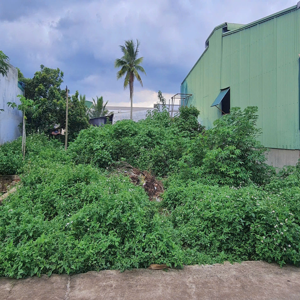 Đất Phú Hội 98,4m², thổ cư 90m², giá 1,65 tỷ