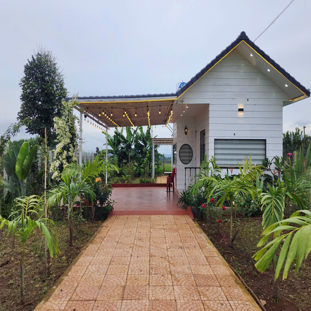 Đất Phú Hội mặt tiền DT724 595m² giá 5,5 tỷ