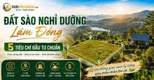 Đất Sào Nghỉ Dưỡng Lâm Đồng: 5 Tiêu Chí Đầu Tư Chuẩn | BDS Ven Đà Lạt