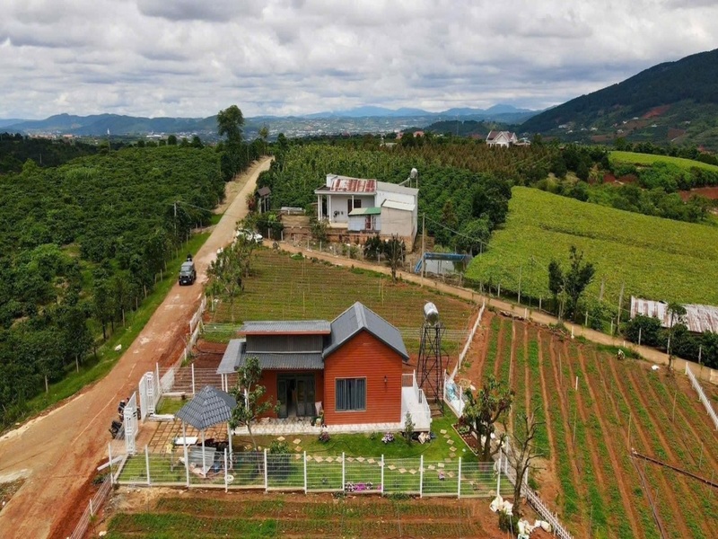 Toàn cảnh không gian đất sào nghỉ dưỡng Lâm Đồng ven Đà Lạt xanh mát