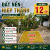 Đất nền Hiệp Thạnh 1465m² có 200m² thổ cư
