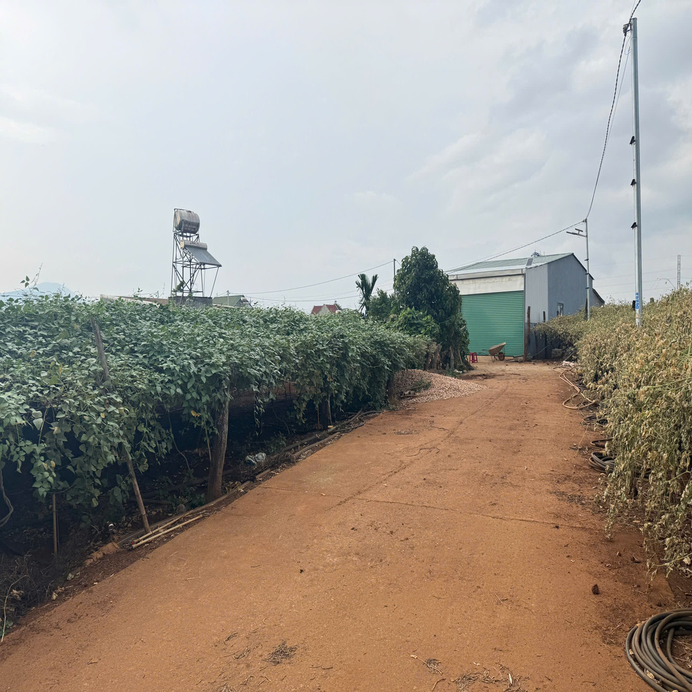 Đất nền Liên Nghĩa 131m², full thổ cư, giá 1,3 tỷ