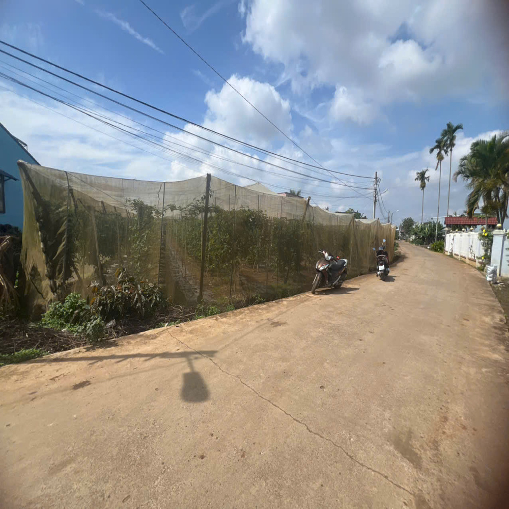 Đất nền Liên Nghĩa 2.585m² hẻm Hồ Xuân Hương