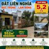 Đất nền Liên Nghĩa thổ cư 250m²