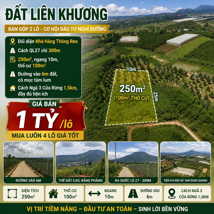 Đất nền Thông Reo 250m² thổ cư 100m²