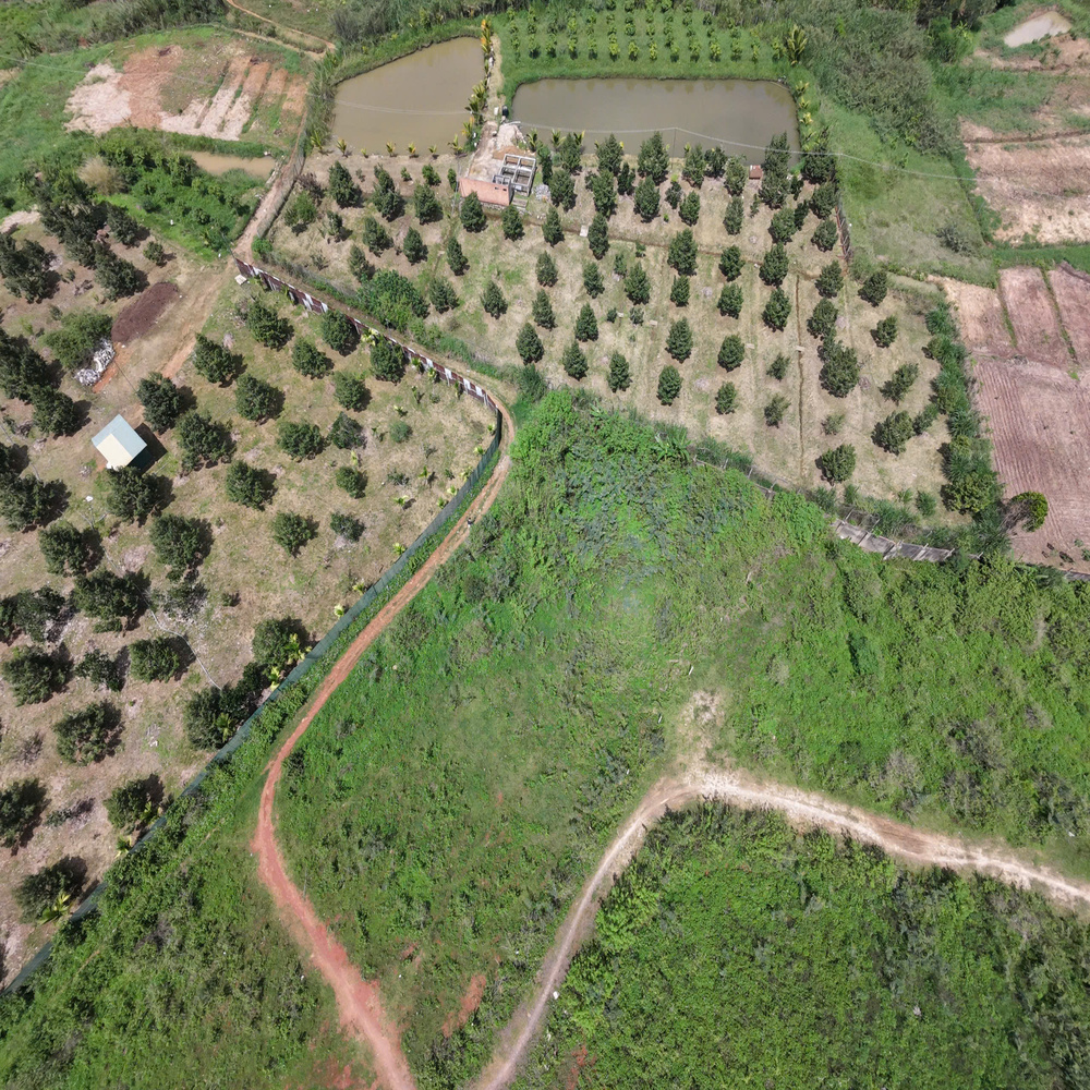 Đất nền Thông Reo 250m² thổ cư 100m²