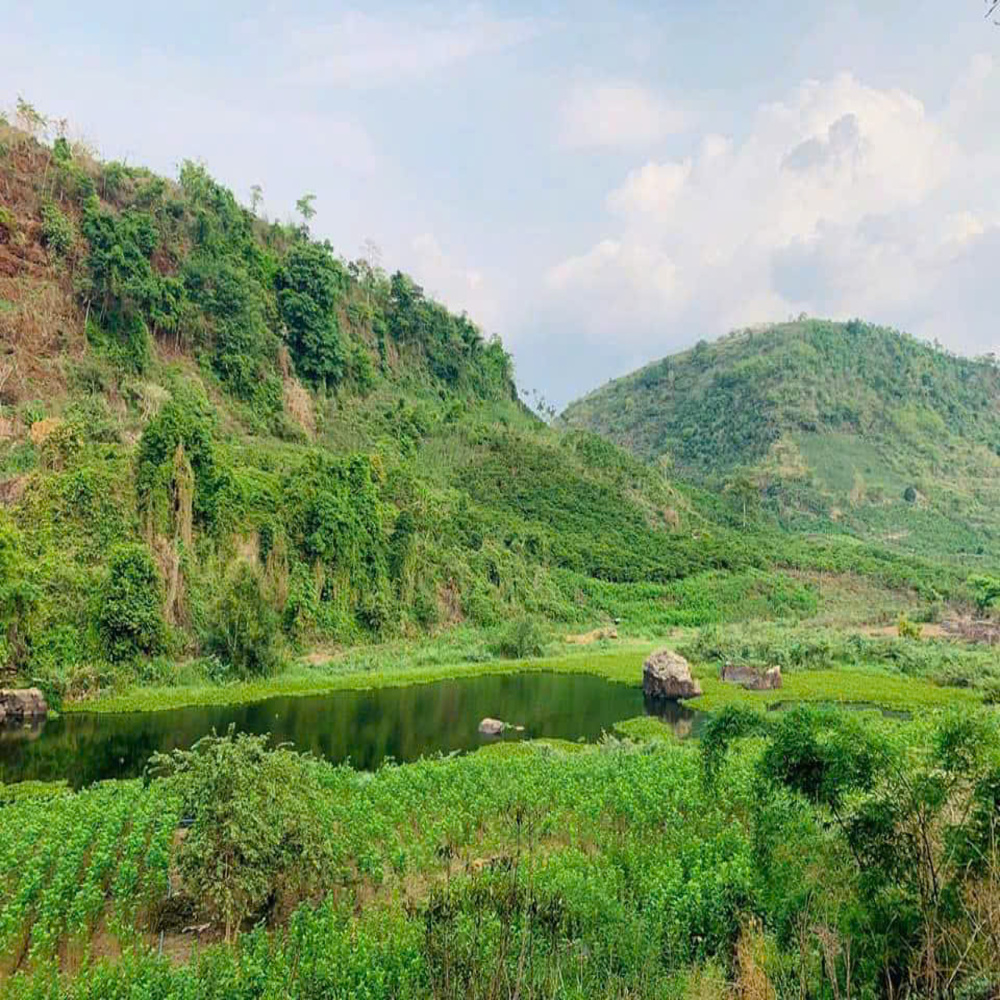 Đất Tân Hưng 11.887,6m² CLN, giá 12,5 tỷ